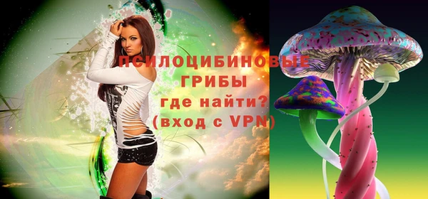 экстази Гусев