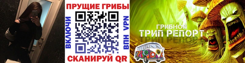 Галлюциногенные грибы прущие грибы  Данилов 