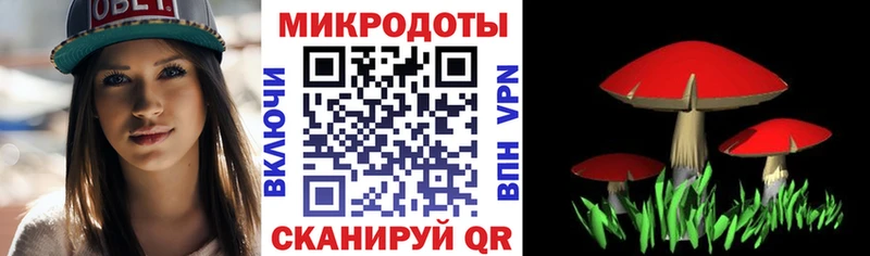 Псилоцибиновые грибы прущие грибы Данилов